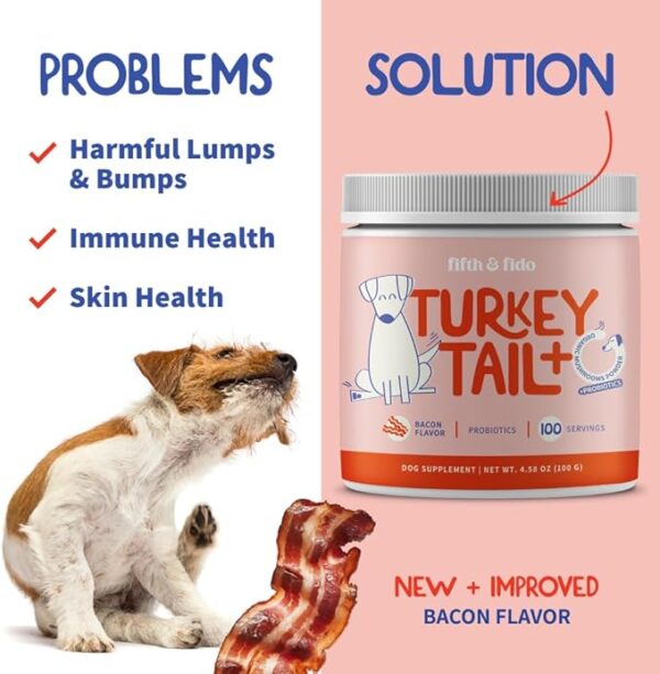 Turkey Tail Mushroom for Dogs - Turkey Tail Mushroom Powder for Dogs - Image 2