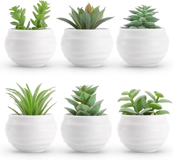 Der Rose Set of 6 Succulents Plants Artificial in Pots Small Fake