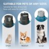 Dog Nail Grinder with 2 LED Light,3-Speed Rechargeable Dog Nail - Image 4