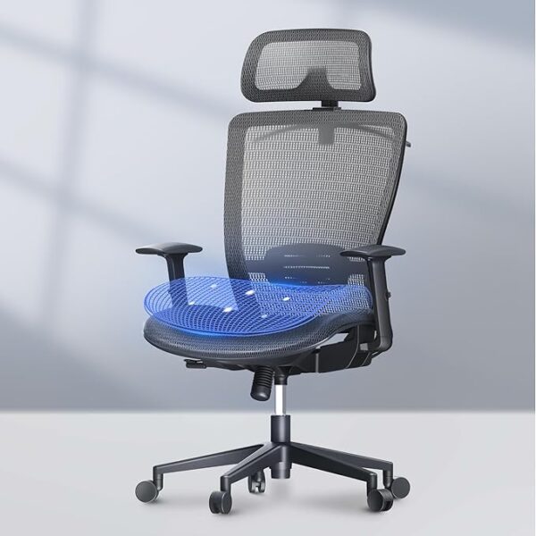 FLEXISPOT Ergonomic Home Office Chair,